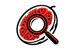 乐玩LWapp - 吃瓜社Logo